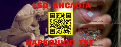гидропоника Долгопрудный