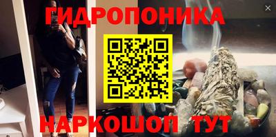 гидропоника Долгопрудный